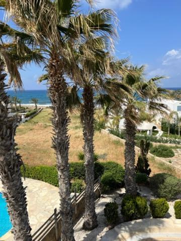 Sky Villa Pafos Zewnętrze zdjęcie